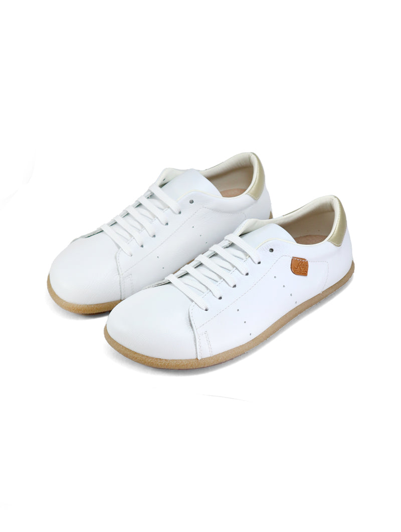 ALIGA Cordon Blanco (Transicion)