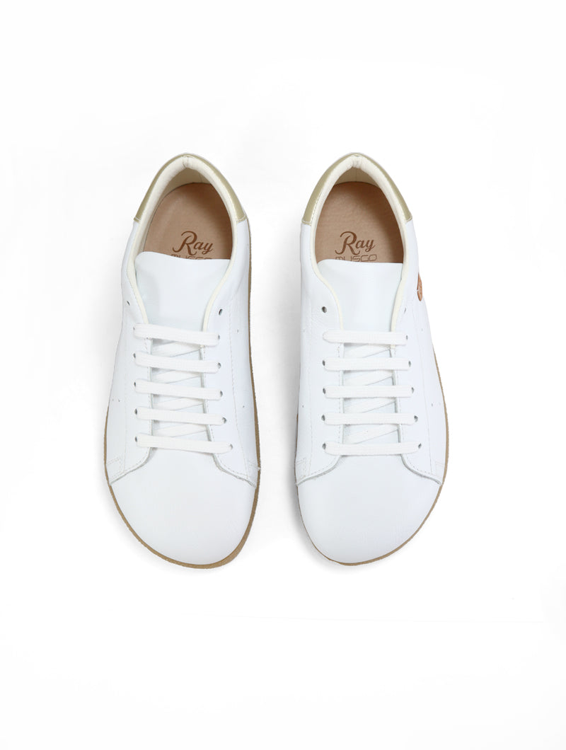 ALIGA Cordon Blanco (Transicion)