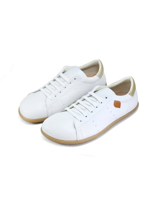ALIGA Cordon Blanco (Transicion)